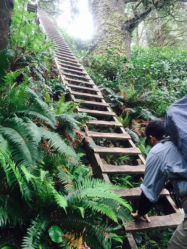 lager Ledig Latterlig The West Coast Trail – NorCal Hiker