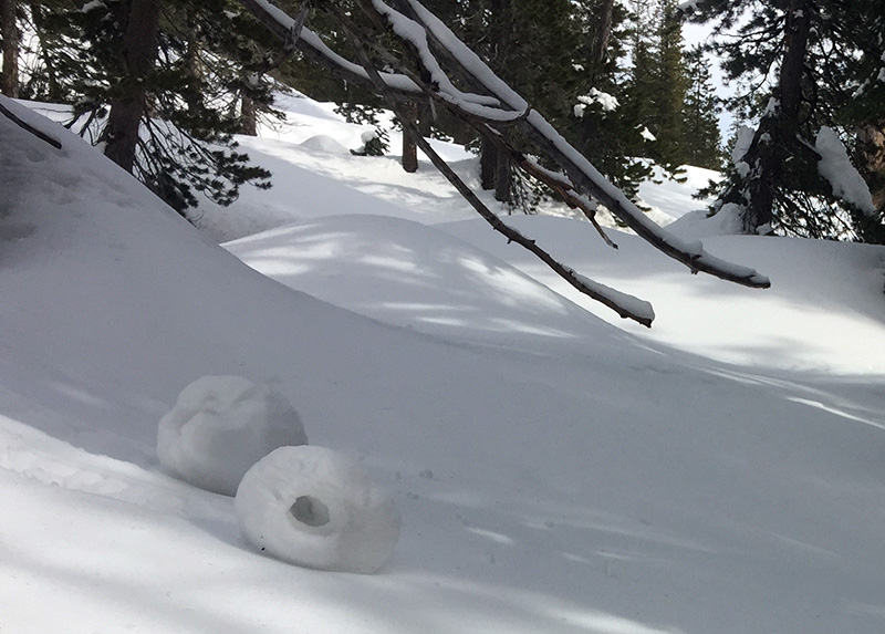 Snow rollers! This is not a phenomena I've ever seen before! I actually got to see one in action too.