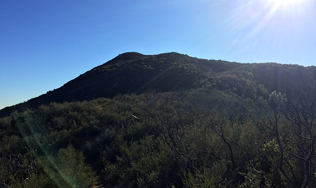 New Year’s Day Hike: Fiske Peak