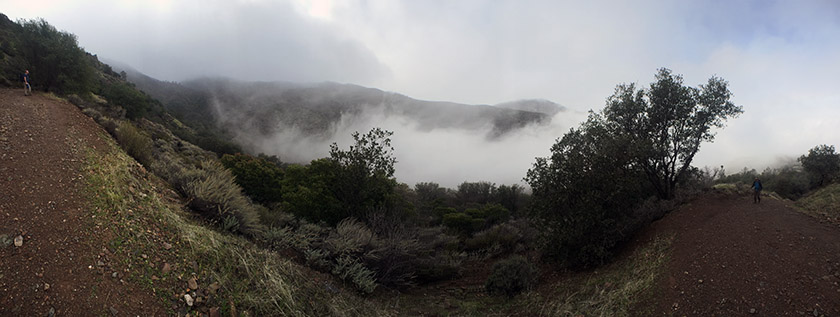 Falls Trail Loop at Mount Diablo